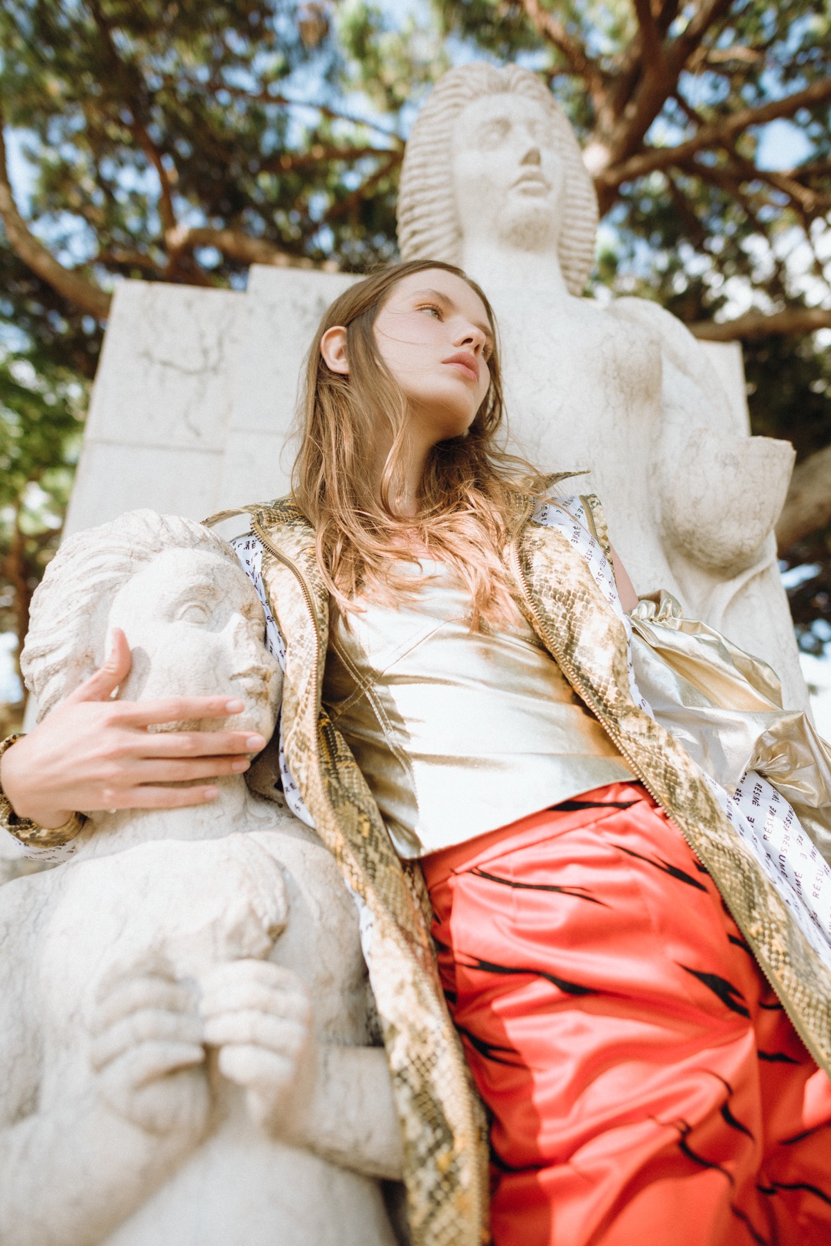 contributor magazine